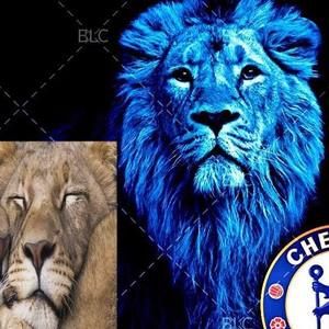 Meet your Posher, Made lascarya